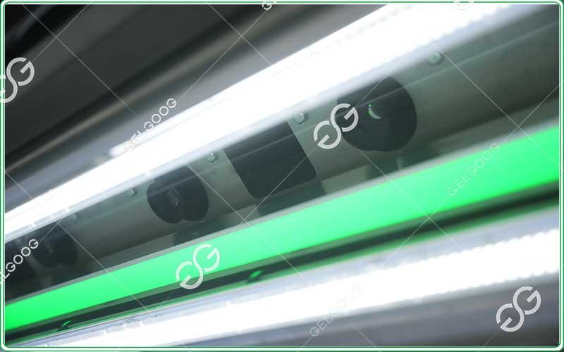 Advanced-garlic-color-sorting-machine-manufacturer.