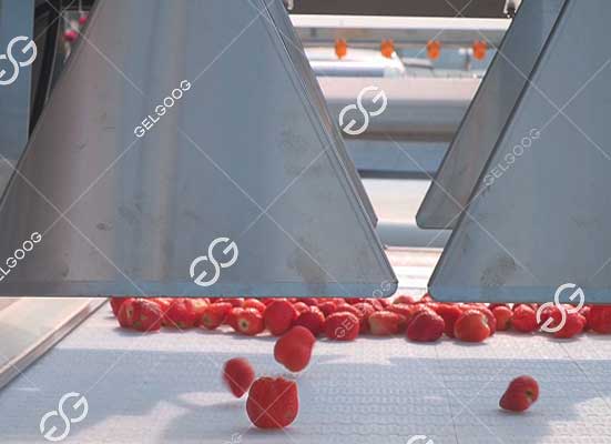 Strawberry air drying and surface dehydration