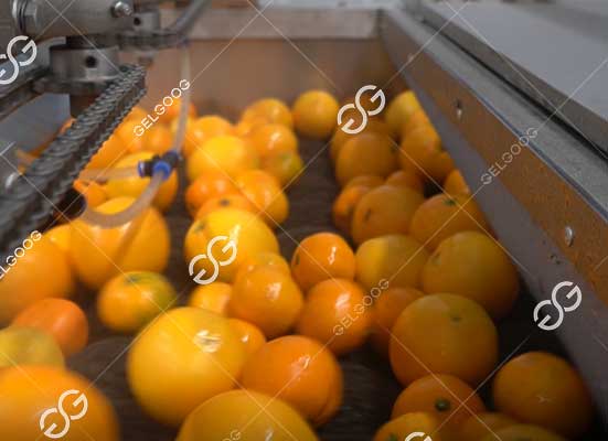 Citrus air drying and waxing machine