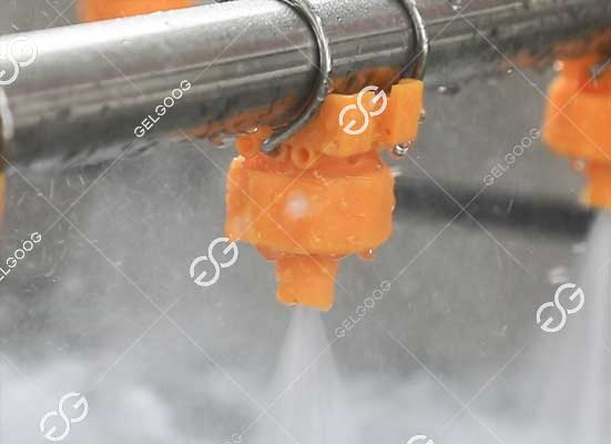 Pear brush cleaning and spraying