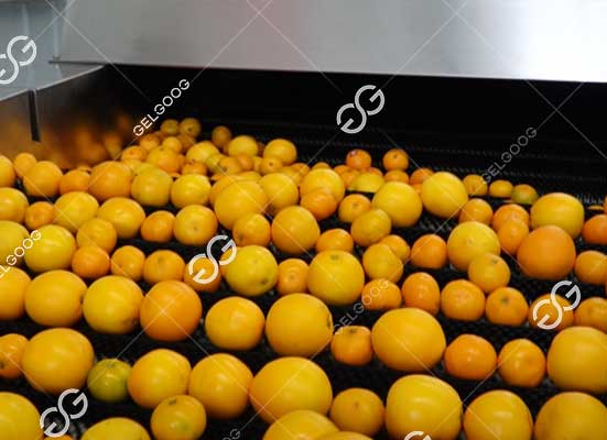 Citrus brush cleaning machine