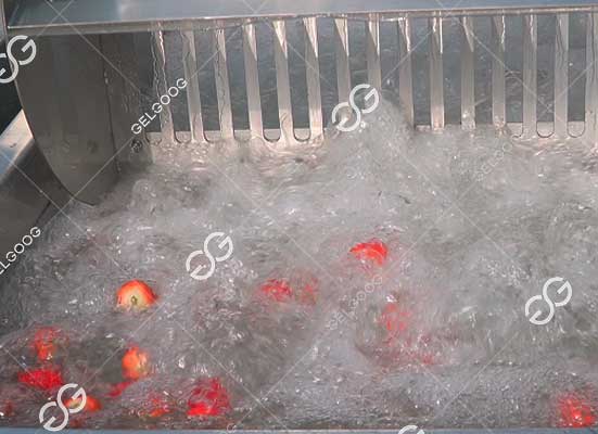Strawberry bubble washing machine