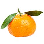 citrus