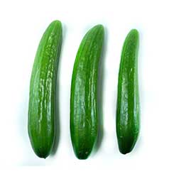 cucumber