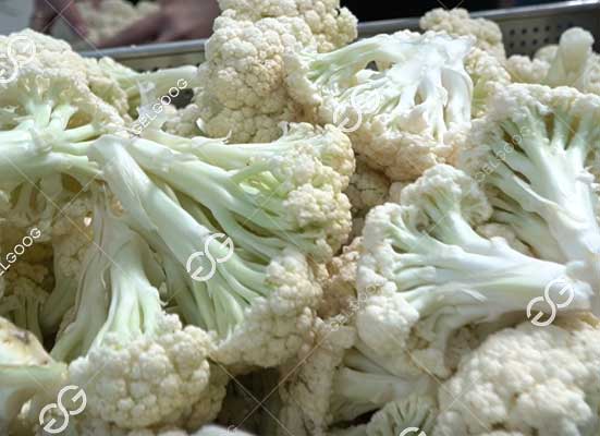Broccoli cutting and separation machine