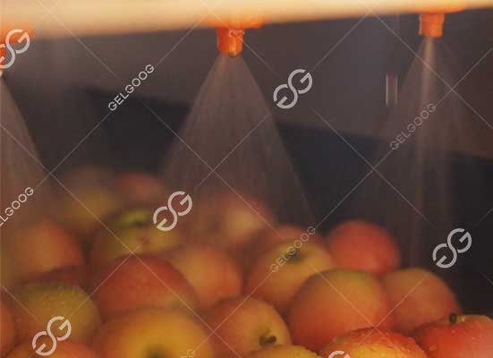 Apple cleaning machine