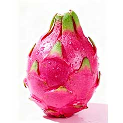 dragon fruit cleaning grading line