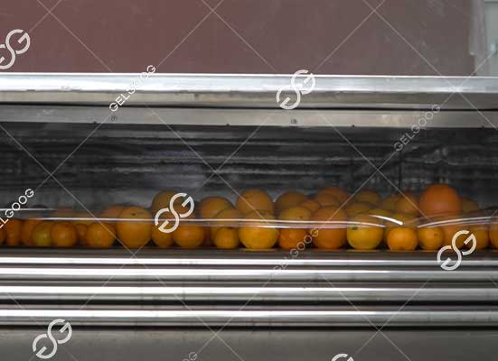 Citrus drying and polishing machine
