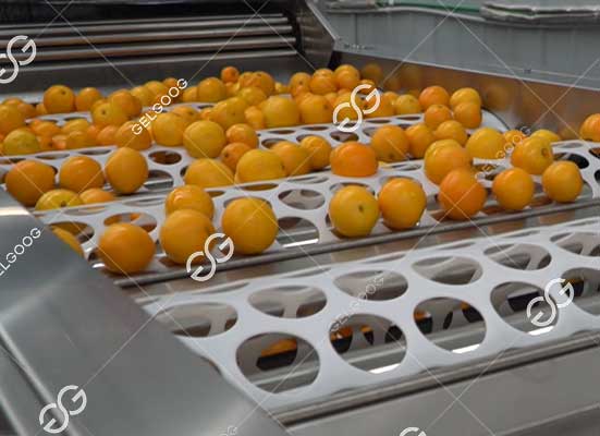 Citrus grading machine