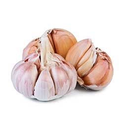 garlic