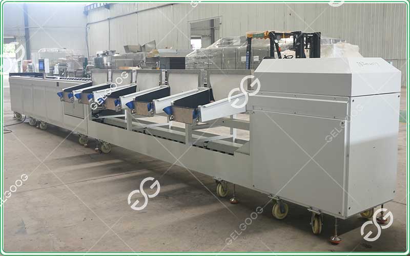 automatic industrial potato grading machine