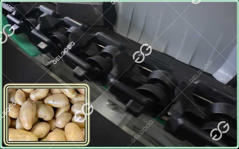  industrial potato grading machine | gelgoog