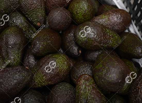 Avocado packaging machine