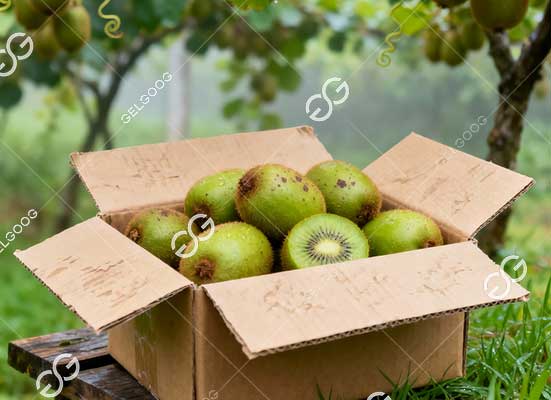 Kiwi packaging machine