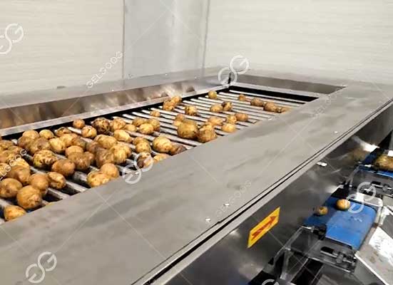 Potato roller grading machine