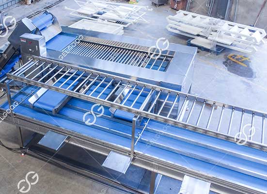 Broccoli roller type precision grading machine