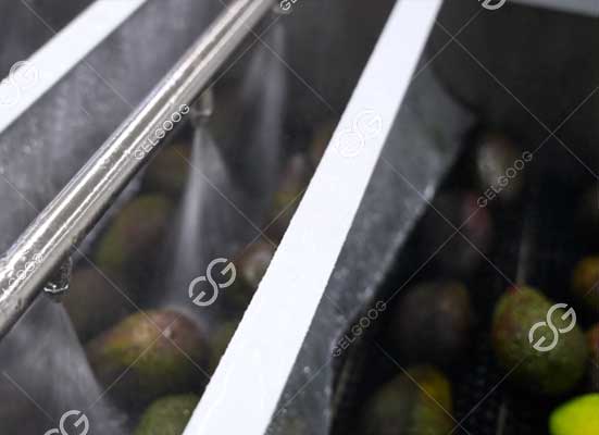 Avocado washing and cleaning machine