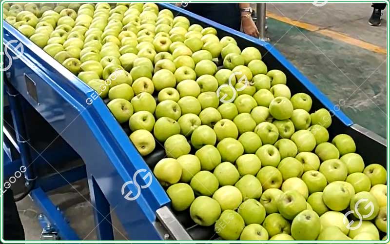 automatic apple waxing and polishing machine