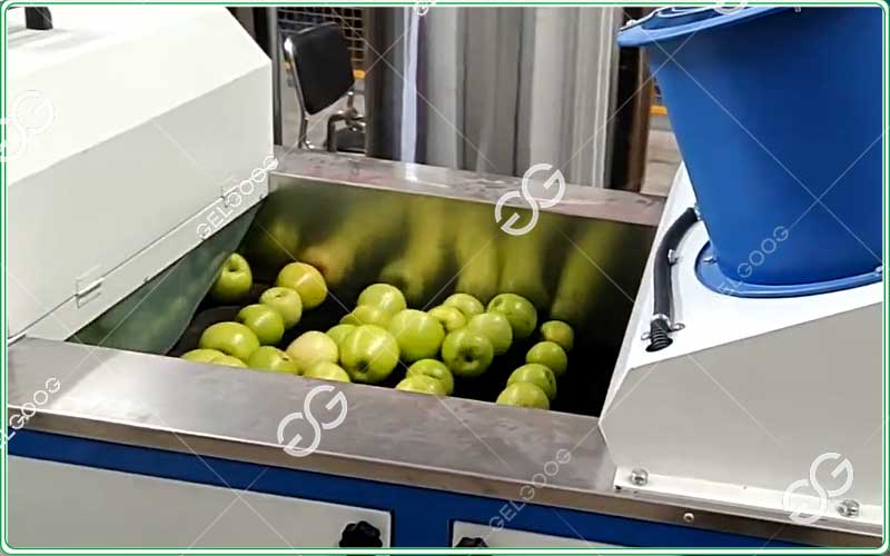 apple waxing and polishing machine