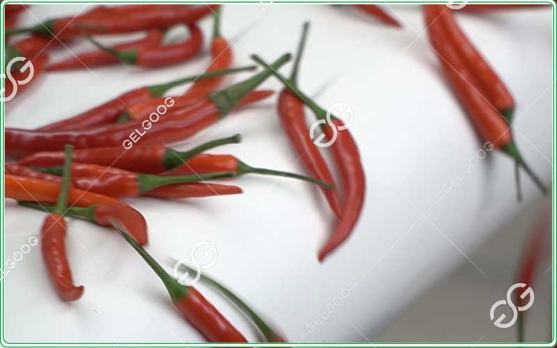 automatic chili pepper washing machine