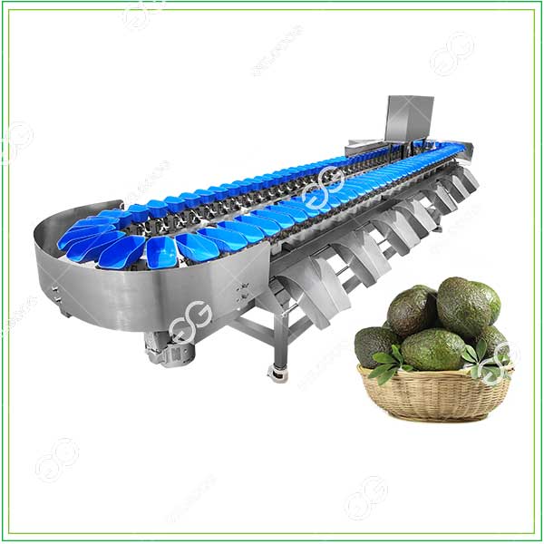 avocado grading machines