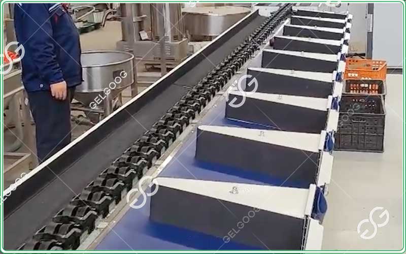 avocado sorting and grading machine
