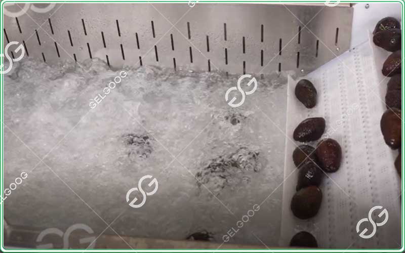 automatic avocado washing machine