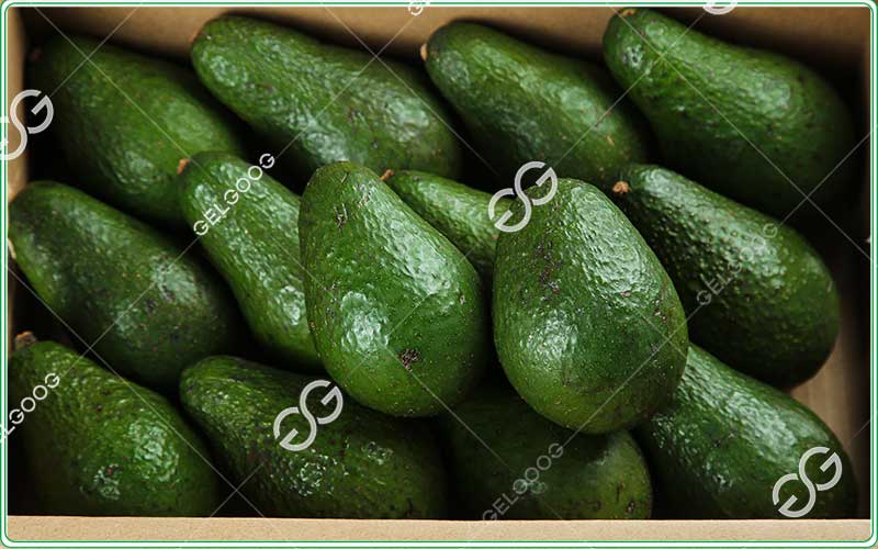  avocado packing machine