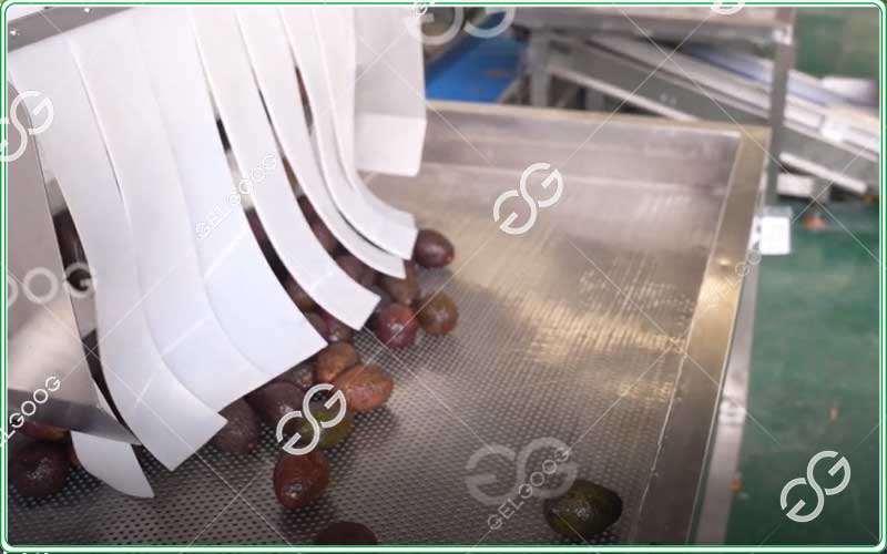 avocado washing machine