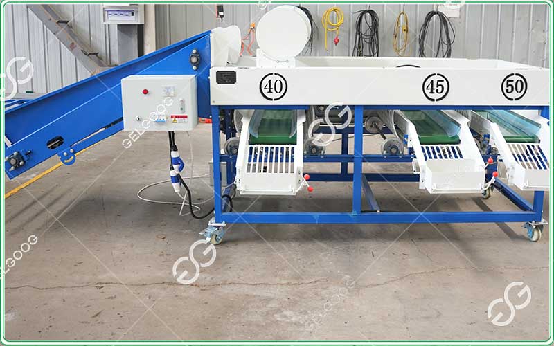 between grading and sorting