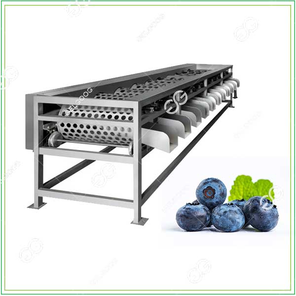 automatic blueberry grading machine