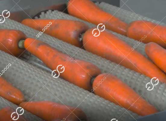 Carrot brush washing machine