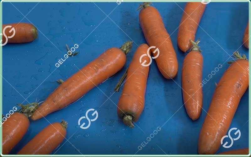 carrot washing machine