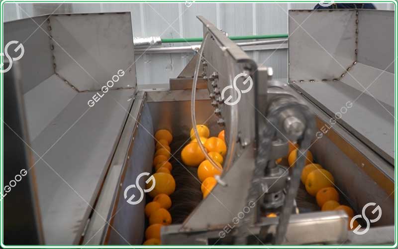 citrus waxing machine