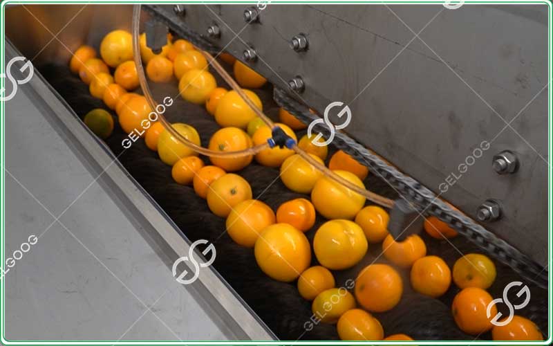 citrus fruit waxing machine manufacturer