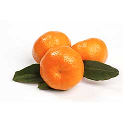 citrus