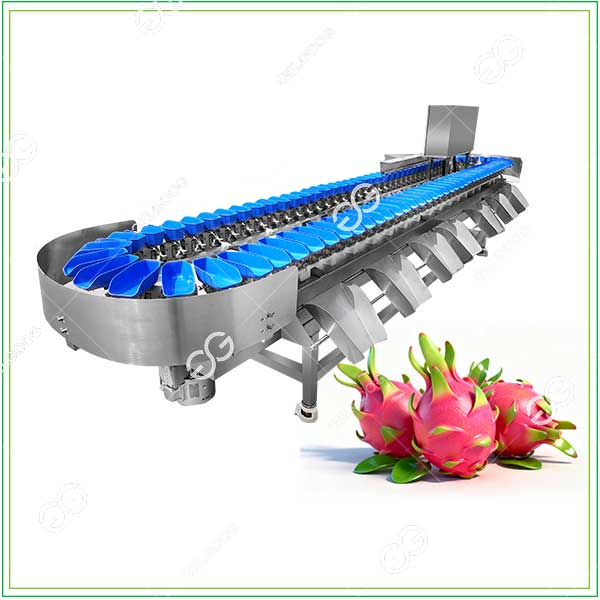 automatic dragon fruit weight sorting machine