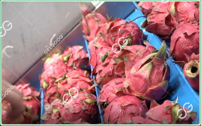 automatic dragon fruit weight sorting machine