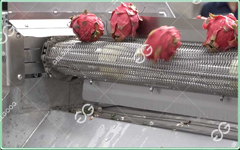 dragon fruit sorting machine