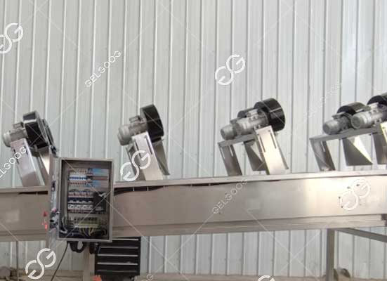 Cucumber drying machine