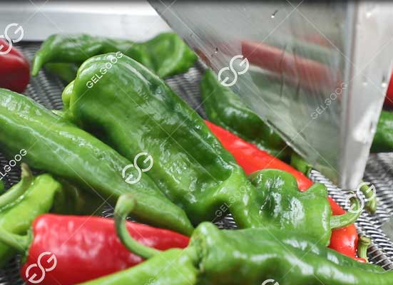 Chili Pepper drying machine