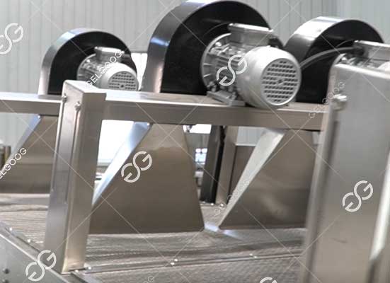 Eggplant drying machine