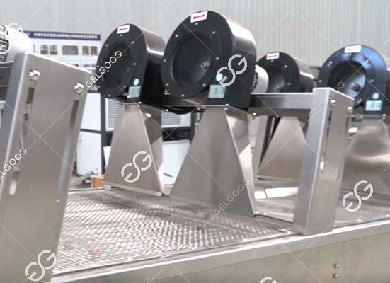 Pitaya drying machine