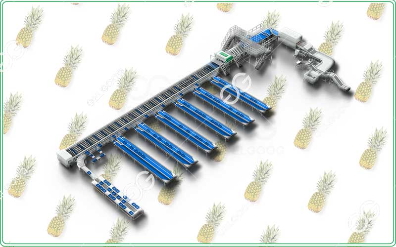 fruit grading machine
