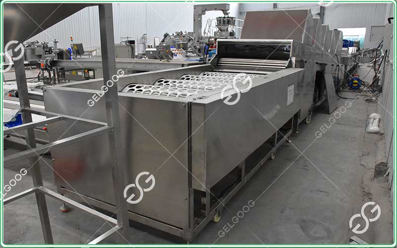 fruit sorting industry