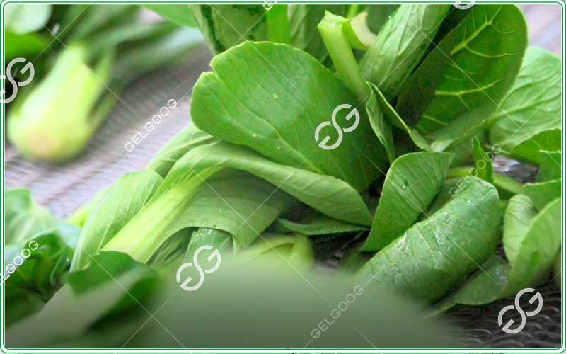 fruits and vegetable washings machines