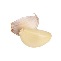 Garlic Clove