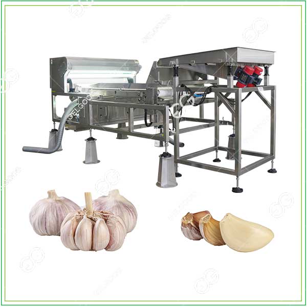 Garlic Color Sorting Machine: Quality AI-Precision