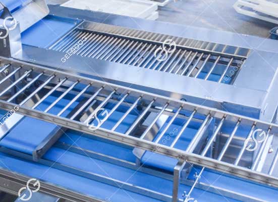 Cherry grading machine