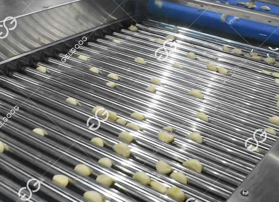 garlic clove grading machine